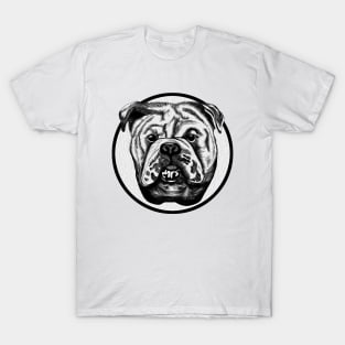 Bulldog T-Shirt